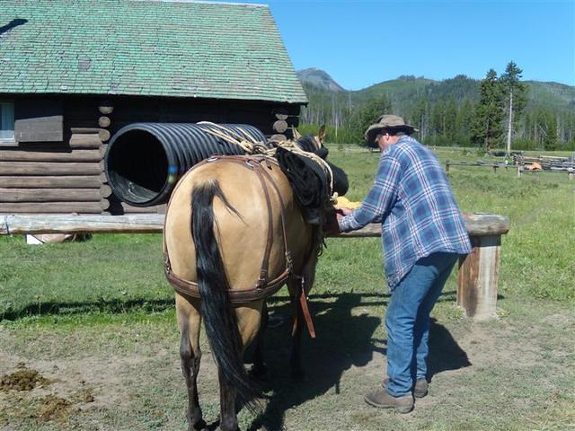 DSCN3199 (Medium)