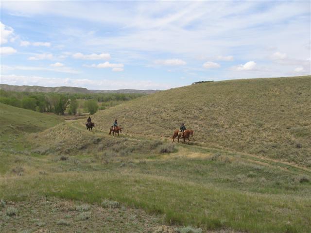 IMG 0172 (Small)