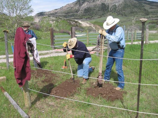 IMG 0013 (Medium)