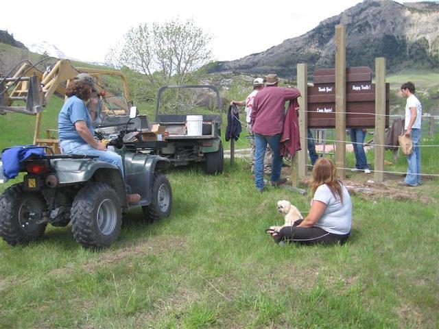 IMG 0018 (Medium)