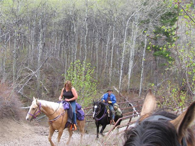 20090524 0140 (Small)
