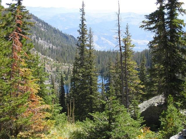 Camas Lake