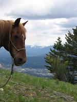 Sheldon Mountain