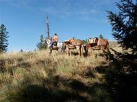 flat iron 004