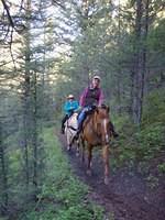 Trail Clearing