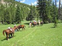 Trail Rides
