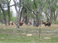 IMG 0155 (Small)