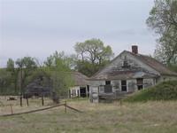 IMG 0156 (Small)