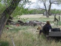 IMG 0157 (Small)