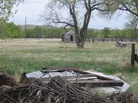 IMG 0158 (Small)