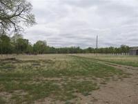 IMG 0163 (Small)