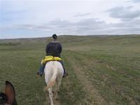 IMG 0164 (Small)