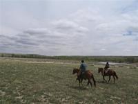 IMG 0165 (Small)