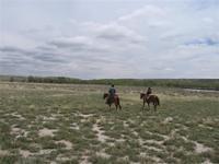 IMG 0167 (Small)