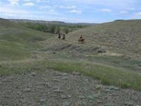 IMG 0171 (Small)