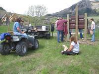 IMG 0018 (Medium)