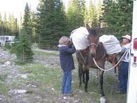 Hermances packing up (Small)