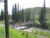 Mules on bridge (Small)