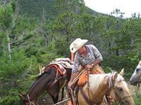 IMG 0055 (Small)