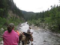 IMG 0057 (Small)