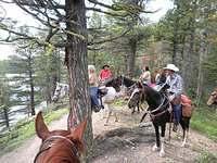 Indian Meadows