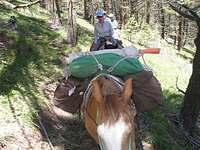 jse Continental Divide 10 009