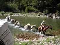 Flathead Back Country Horsemen