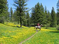 Judith Basin Back Country Horsemen
