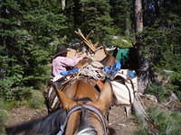 Indian Lake-Wahoo Pass Pack Support 2011