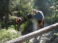 Dan Brandborg sawing