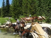 Sawtooth Trail 2009 & 2010