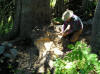 Hermit Creek