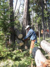 dick haines sawing