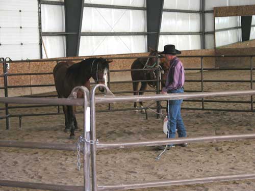Photo of a trainer working with a horse within an indoor corral.